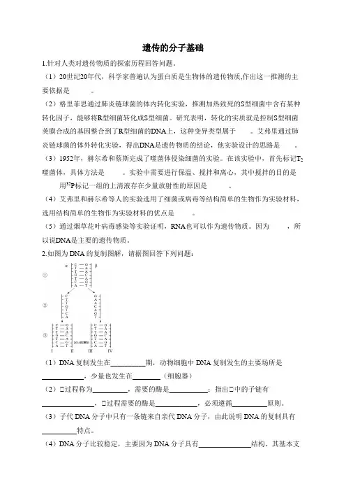 2024届高考生物一轮复习大题过关练遗传的分子基础 
