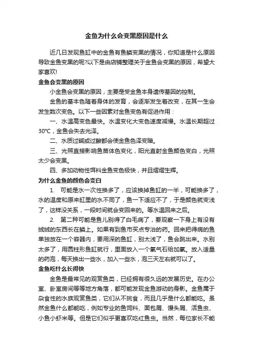 金鱼为什么会变黑原因是什么