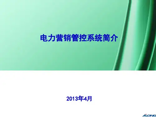 电力营销管控系统简介