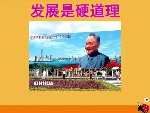 发展是硬道理2课件-鲁教版