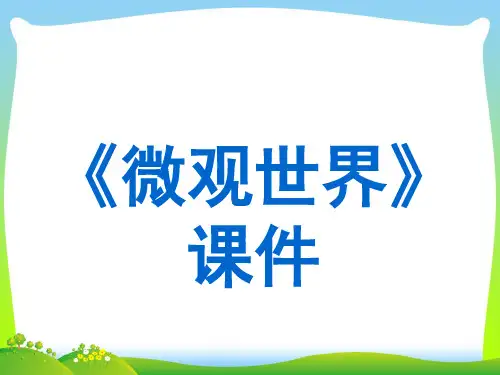 人教版五年级美术：《微观世界》课件03.ppt