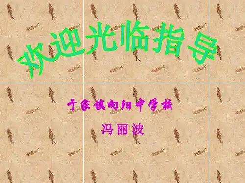 初中生物人教版八年级上册第四节 鱼