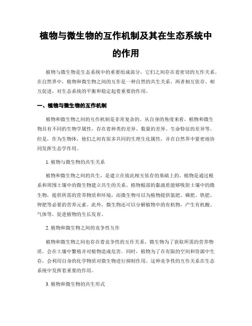 植物与微生物的互作机制及其在生态系统中的作用