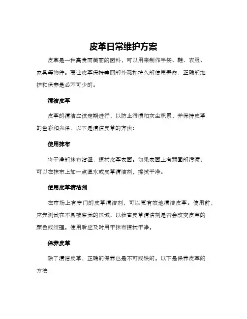 皮革日常维护方案