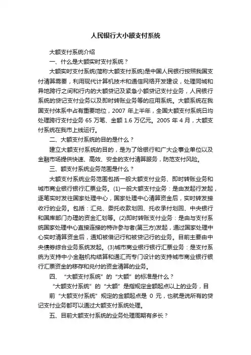 人民银行大小额支付系统