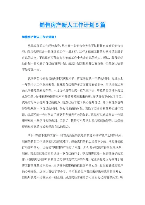 销售房产新人工作计划5篇