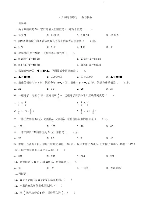 小升初专项练习   数与代数   专项训练