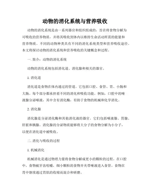 动物的消化系统与营养吸收