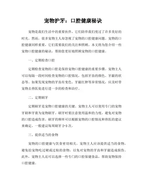 宠物护牙：口腔健康秘诀