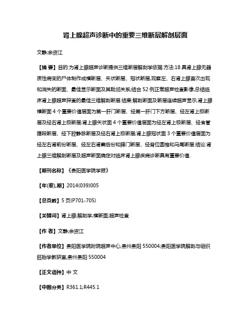 肾上腺超声诊断中的重要三维断层解剖层面