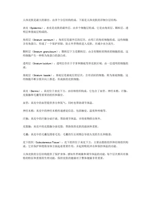 简述人体皮肤的详细分层结构