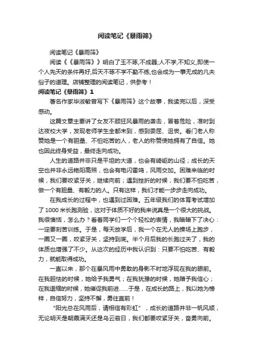 阅读笔记《暴雨筛》