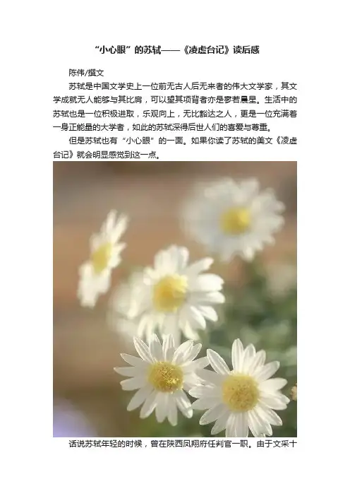“小心眼”的苏轼——《凌虚台记》读后感