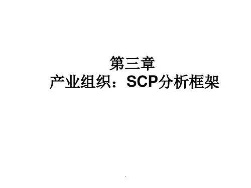 产业组织SCP分析框架