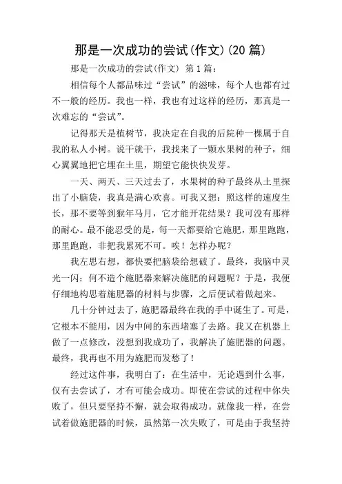 那是一次成功的尝试(作文)(20篇)