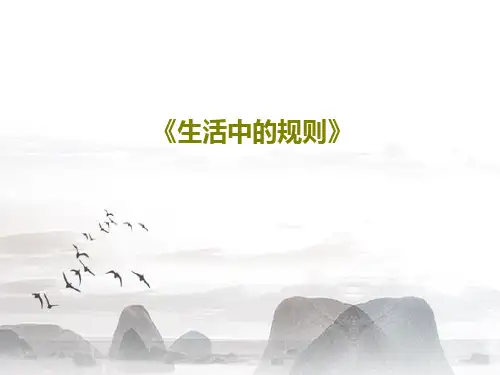 《生活中的规则》66页PPT