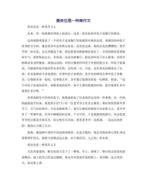 善良也是一种美作文