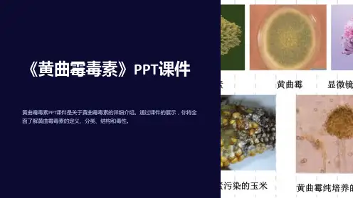 《黄曲霉毒素》课件