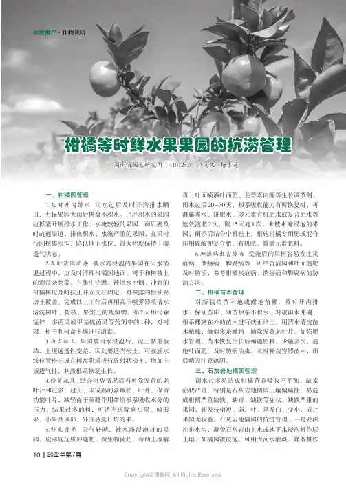 柑橘等时鲜水果果园的抗涝管理