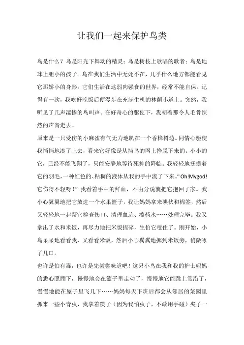 初三议论文让我们一起来保护鸟类