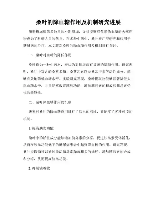 桑叶的降血糖作用及机制研究进展