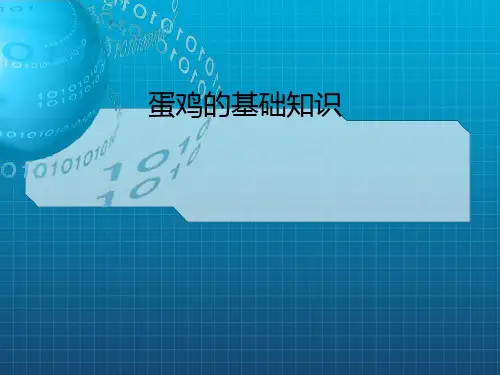 蛋鸡养殖的基础知识