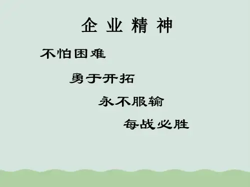 经营偏差分析报告(PPT 49页)