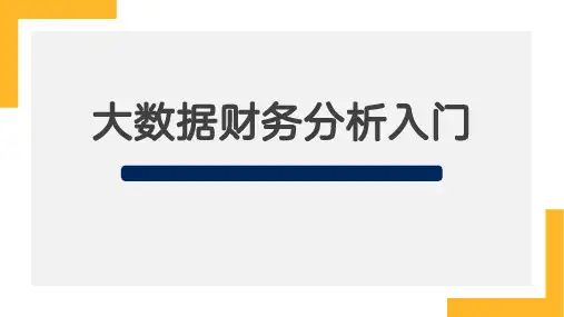 大数据财务分析入门(第2版)大数据和分析