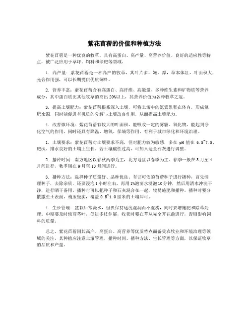 紫花苜蓿的价值和种植方法
