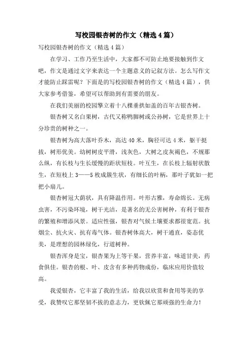 写校园银杏树的作文(4篇)