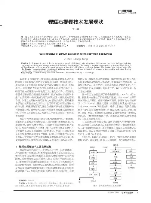 锂辉石提锂技术发展现状