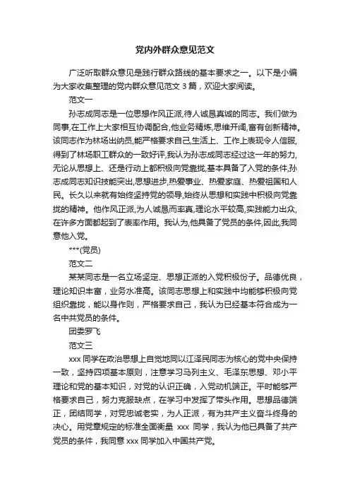 党内外群众意见范文