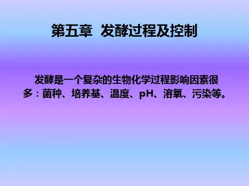 微生物工程 第5章 发酵过程及控制