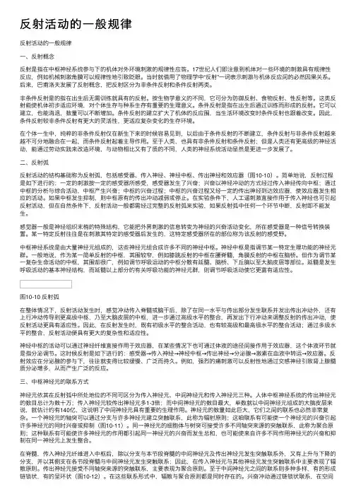 反射活动的一般规律