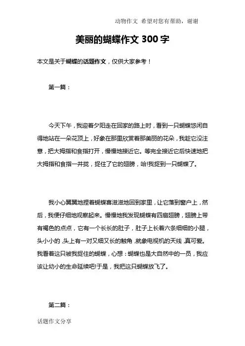 美丽的蝴蝶作文300字