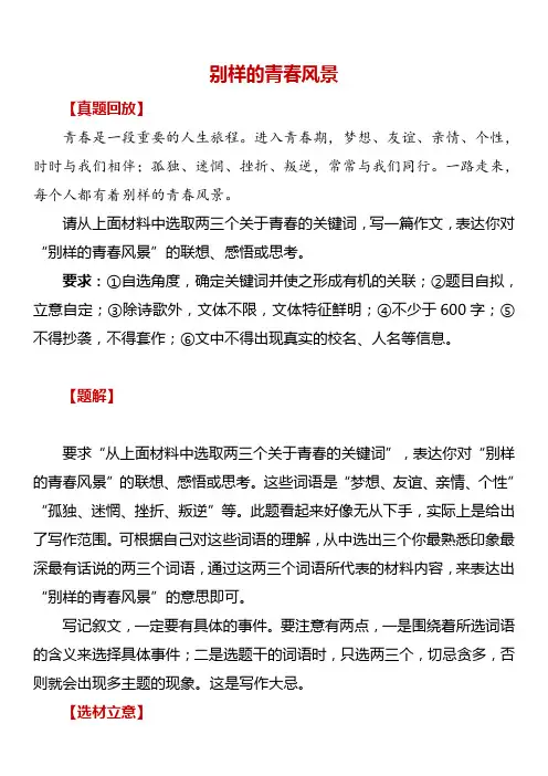 中考满分作文：别样的青春风景(7篇)