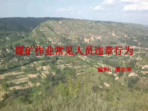 煤矿作业常见违章行为(XXXX9)