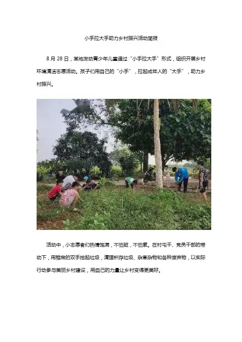 小手拉大手助力乡村振兴活动简报