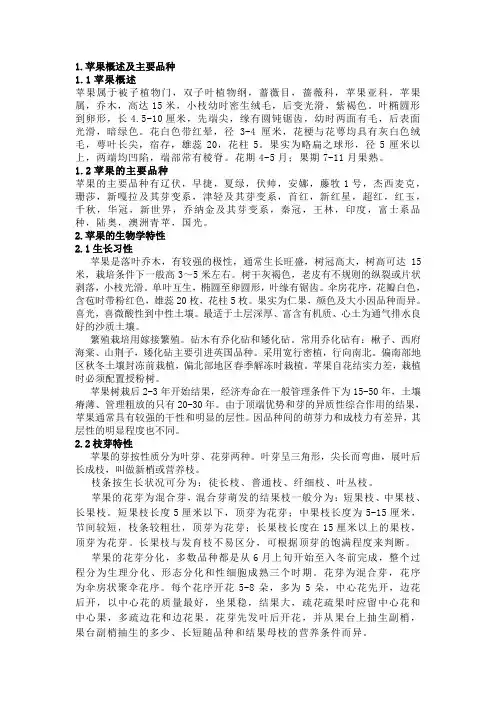 苹果