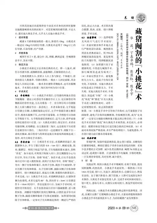 藏猪阉割的“小挑花”术