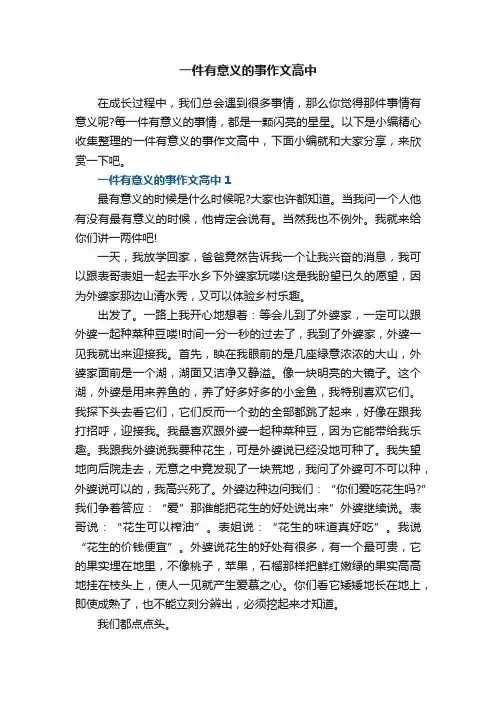一件有意义的事作文高中