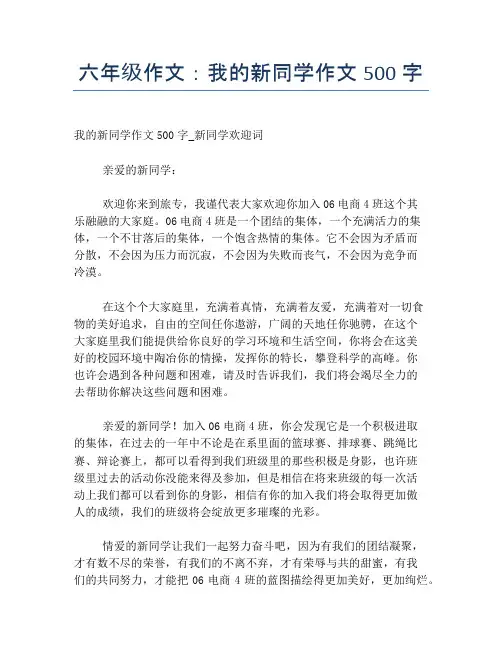 六年级作文：我的新同学作文500字