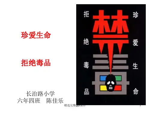 《珍爱生命,远离毒品》PPT