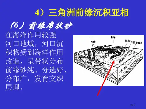 岩相古地理三角洲之四省公共课一等奖全国赛课获奖课件