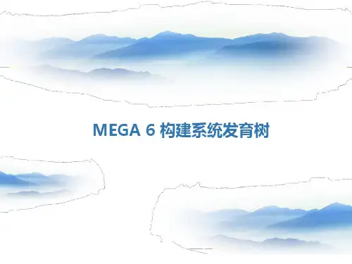 mega-6-构建系统发育树