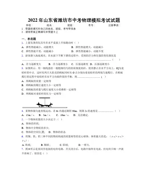 2022年山东省潍坊市中考物理模拟考试试题及解析