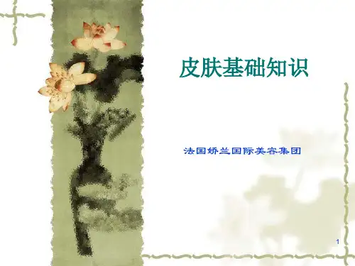 皮肤基础知识ppt课件