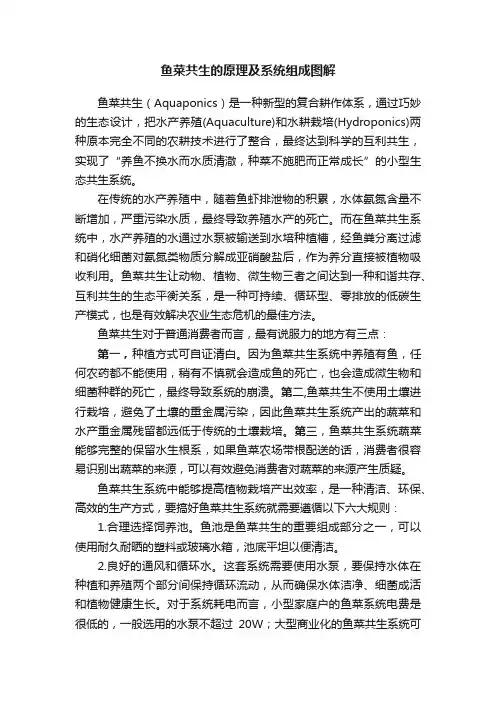 鱼菜共生的原理及系统组成图解