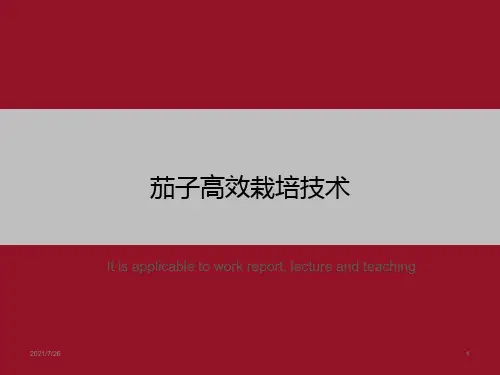 茄子高效栽培技术》ppt课件模板