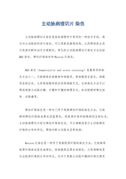 主动脉病理切片 染色